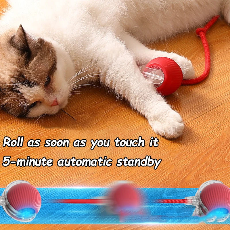 Cat Hunter Rolling Ball Toy™