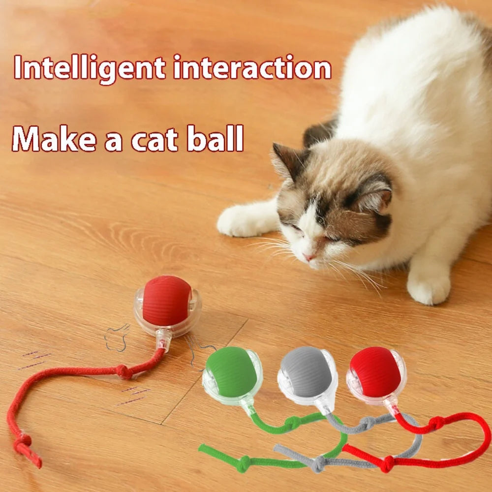 Interactive Rolling Ball Toy for Pets™