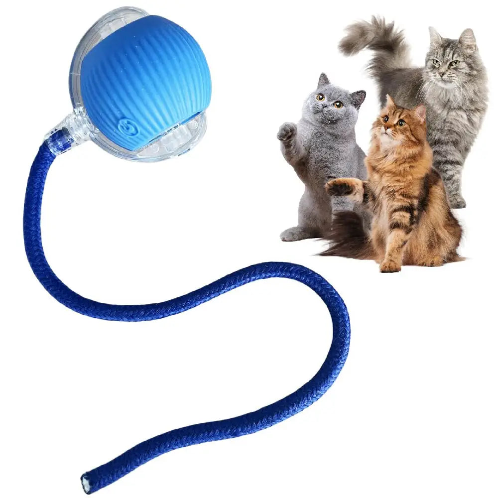 Interactive Rolling Ball Toy for Pets™