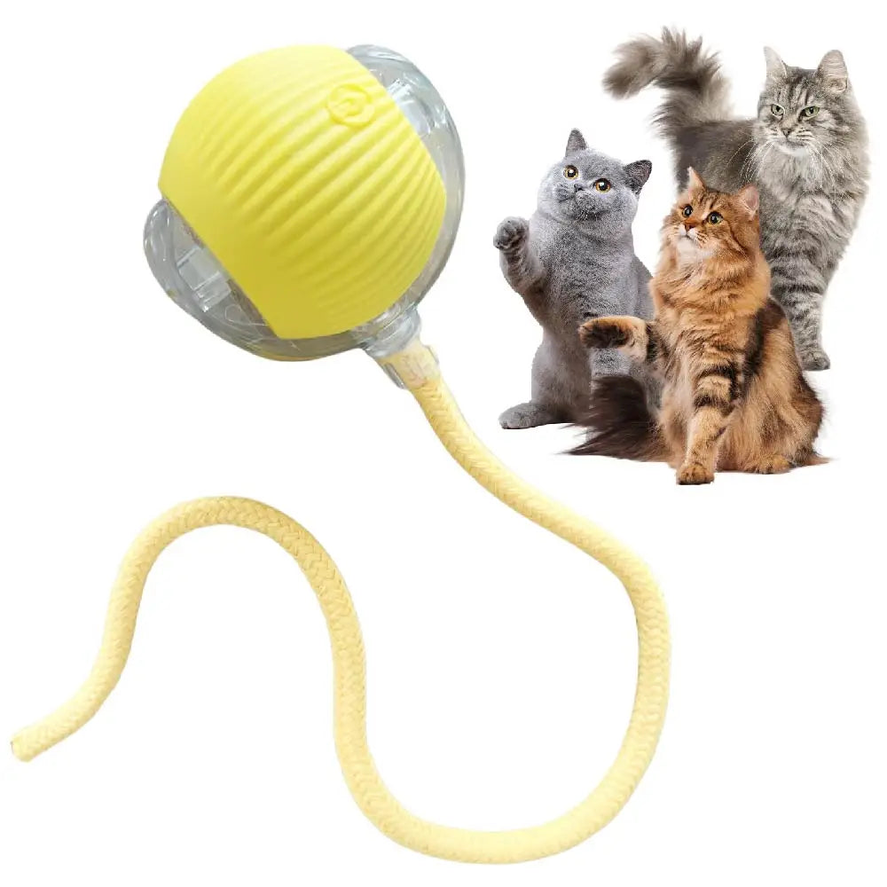 Interactive Rolling Ball Toy for Pets™